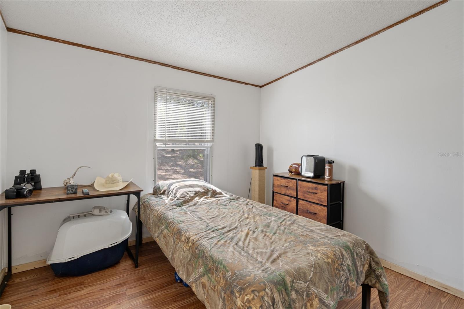 4059 MCKETHAN RD, DADE CITY, FL, 33523