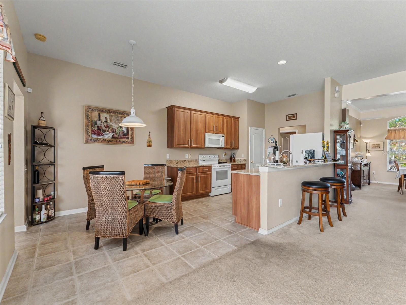 5746 RIVA RIDGE DR, WESLEY CHAPEL, FL, 33544