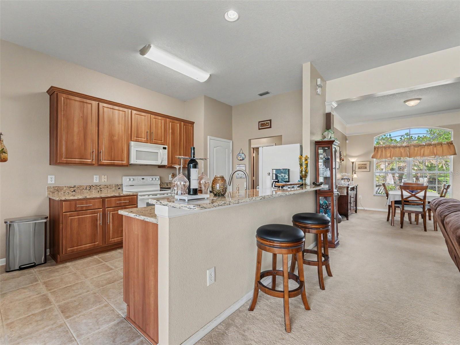 5746 RIVA RIDGE DR, WESLEY CHAPEL, FL, 33544