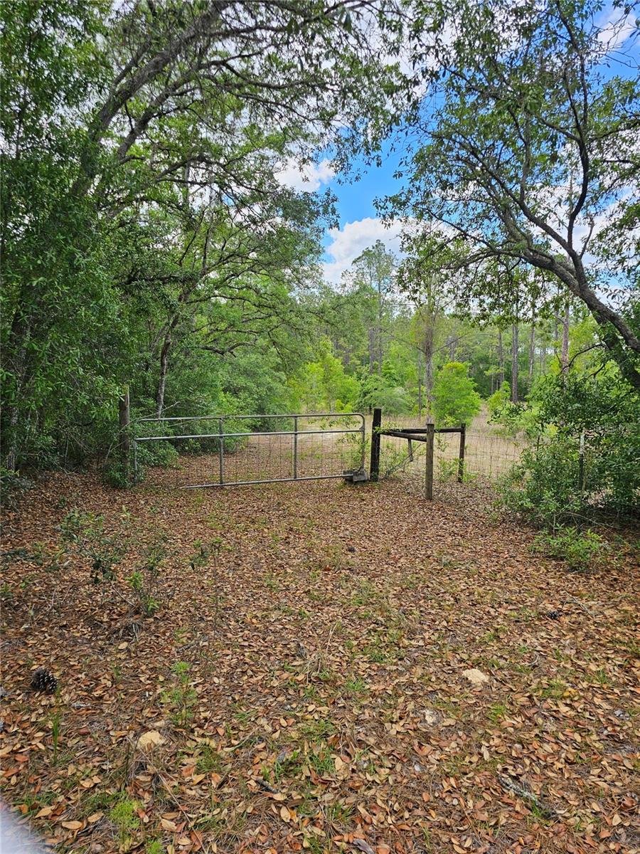 2950 W POMPANO LN, DUNNELLON, FL, 34433