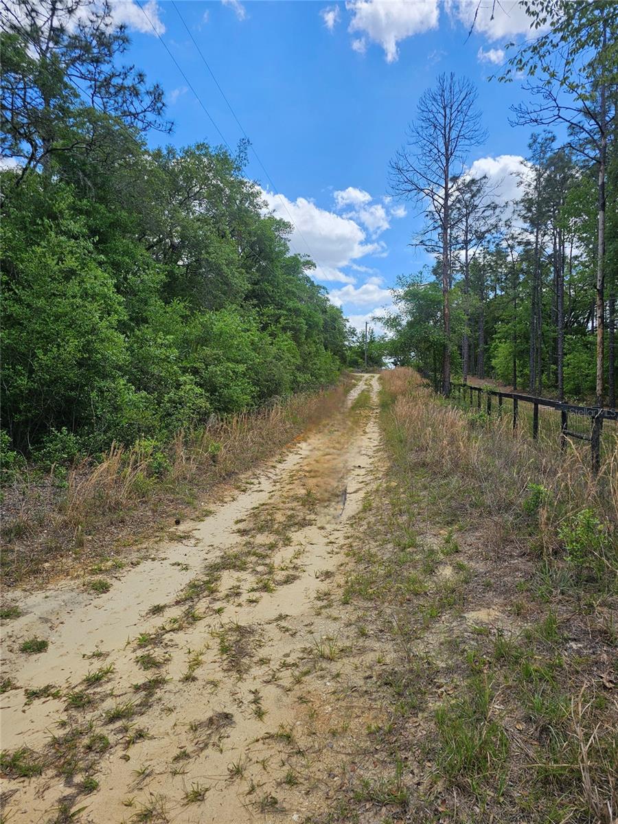 2950 W POMPANO LN, DUNNELLON, FL, 34433
