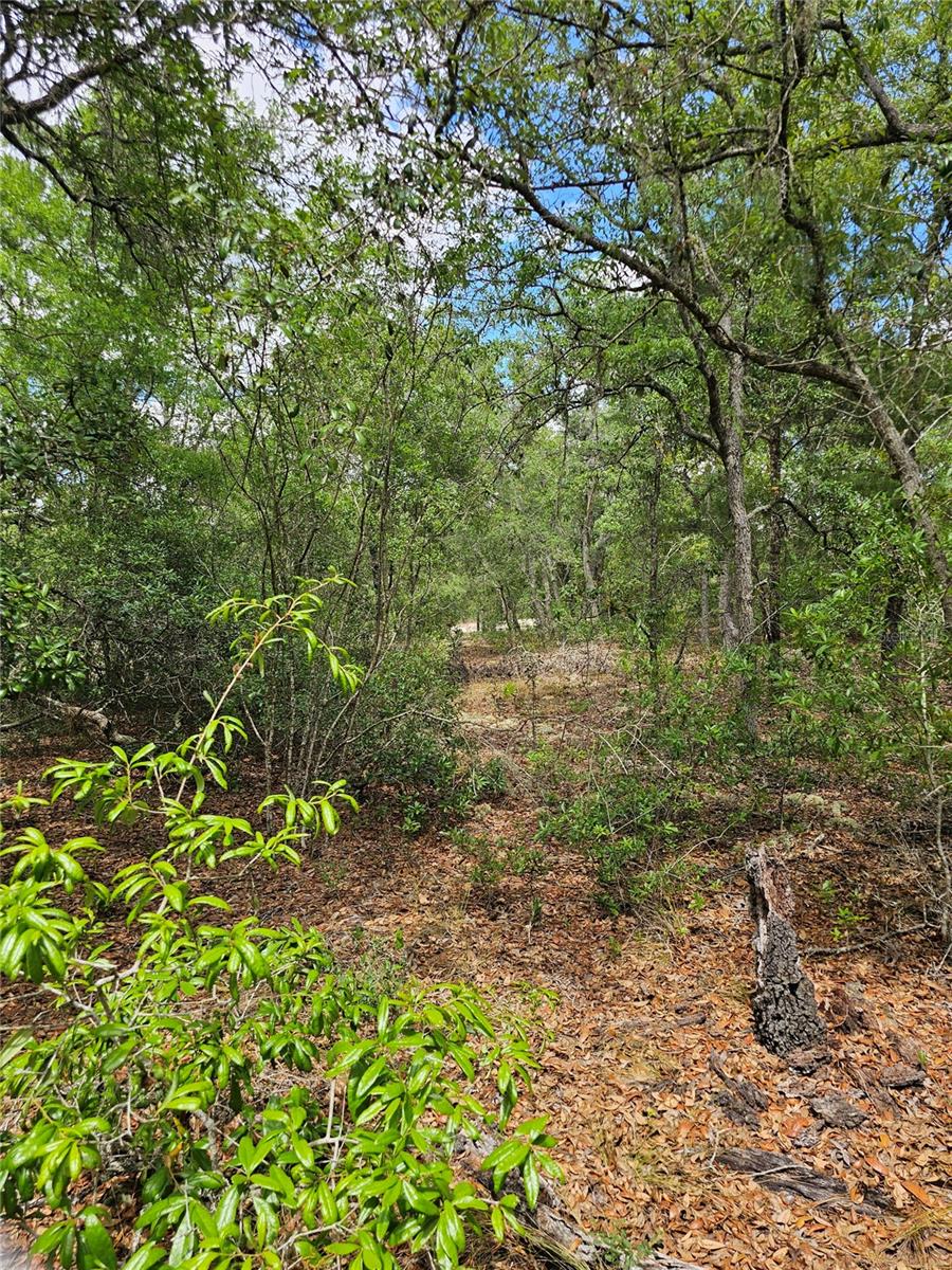 2950 W POMPANO LN, DUNNELLON, FL, 34433