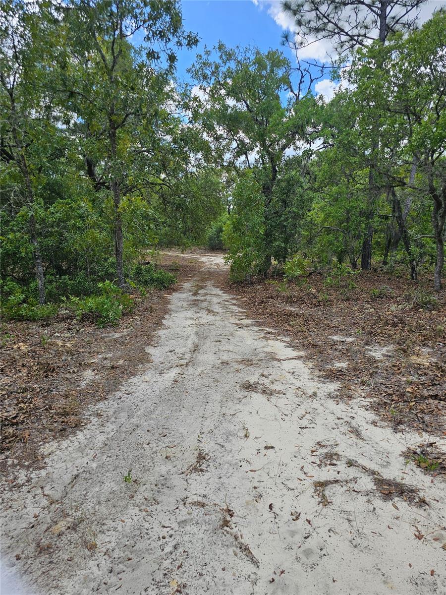 2950 W POMPANO LN, DUNNELLON, FL, 34433