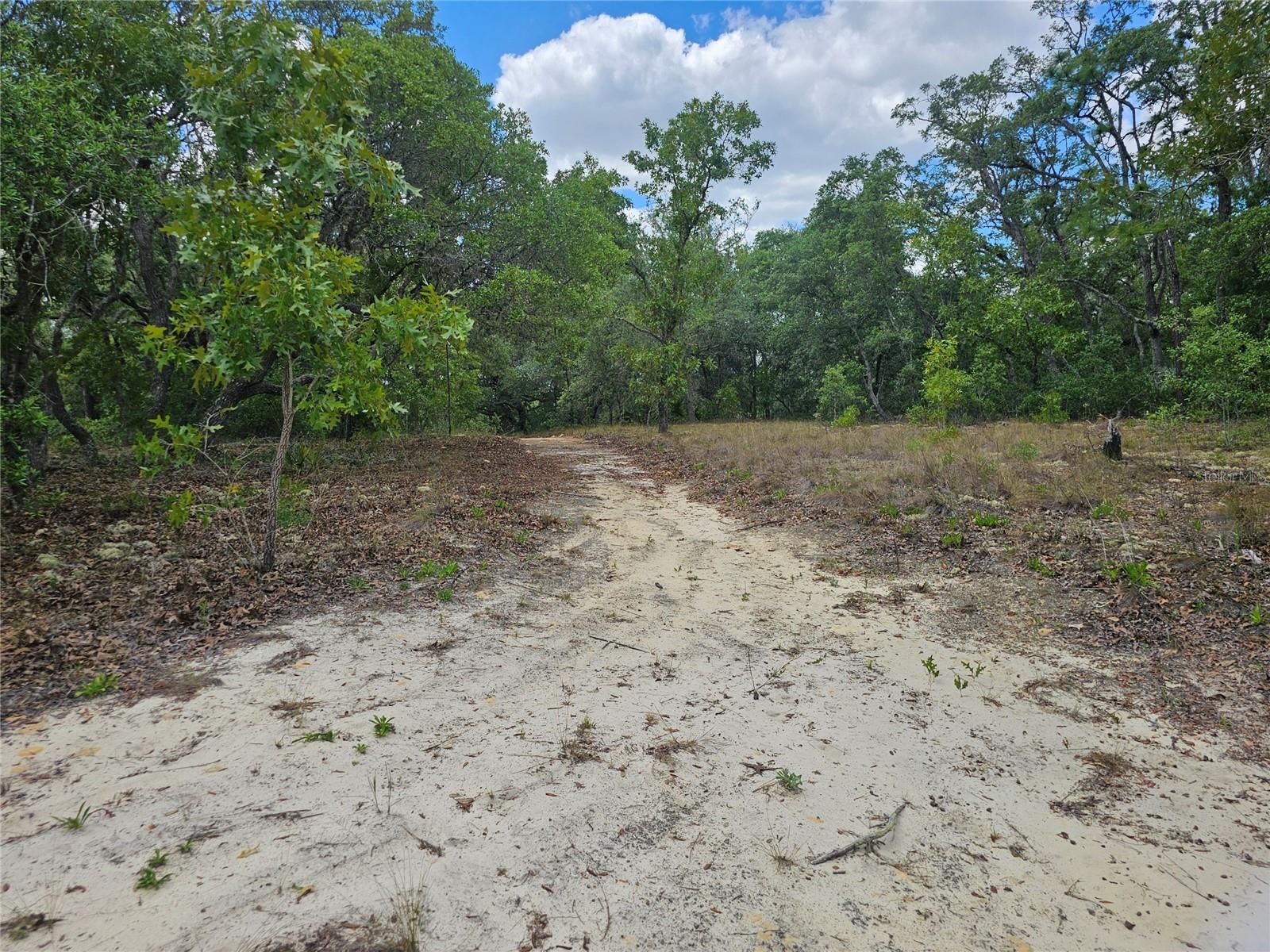 2950 W POMPANO LN, DUNNELLON, FL, 34433