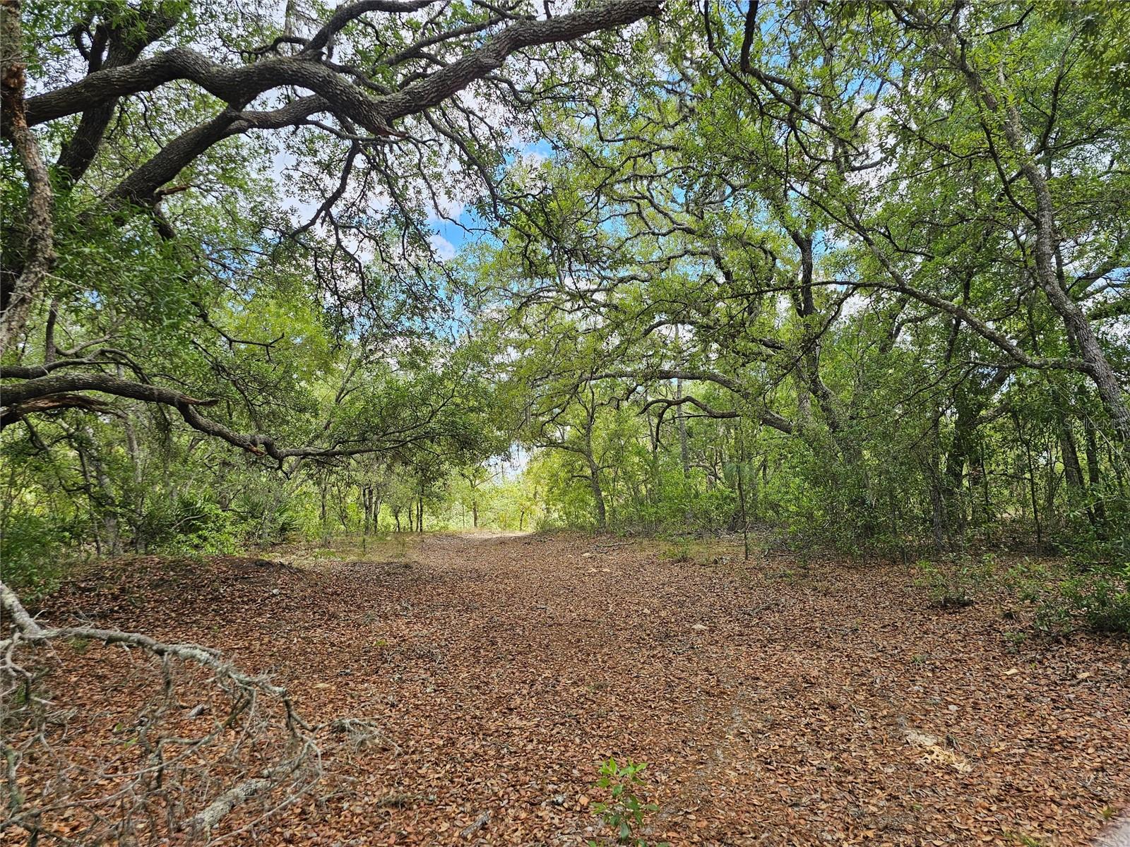 2950 W POMPANO LN, DUNNELLON, FL, 34433