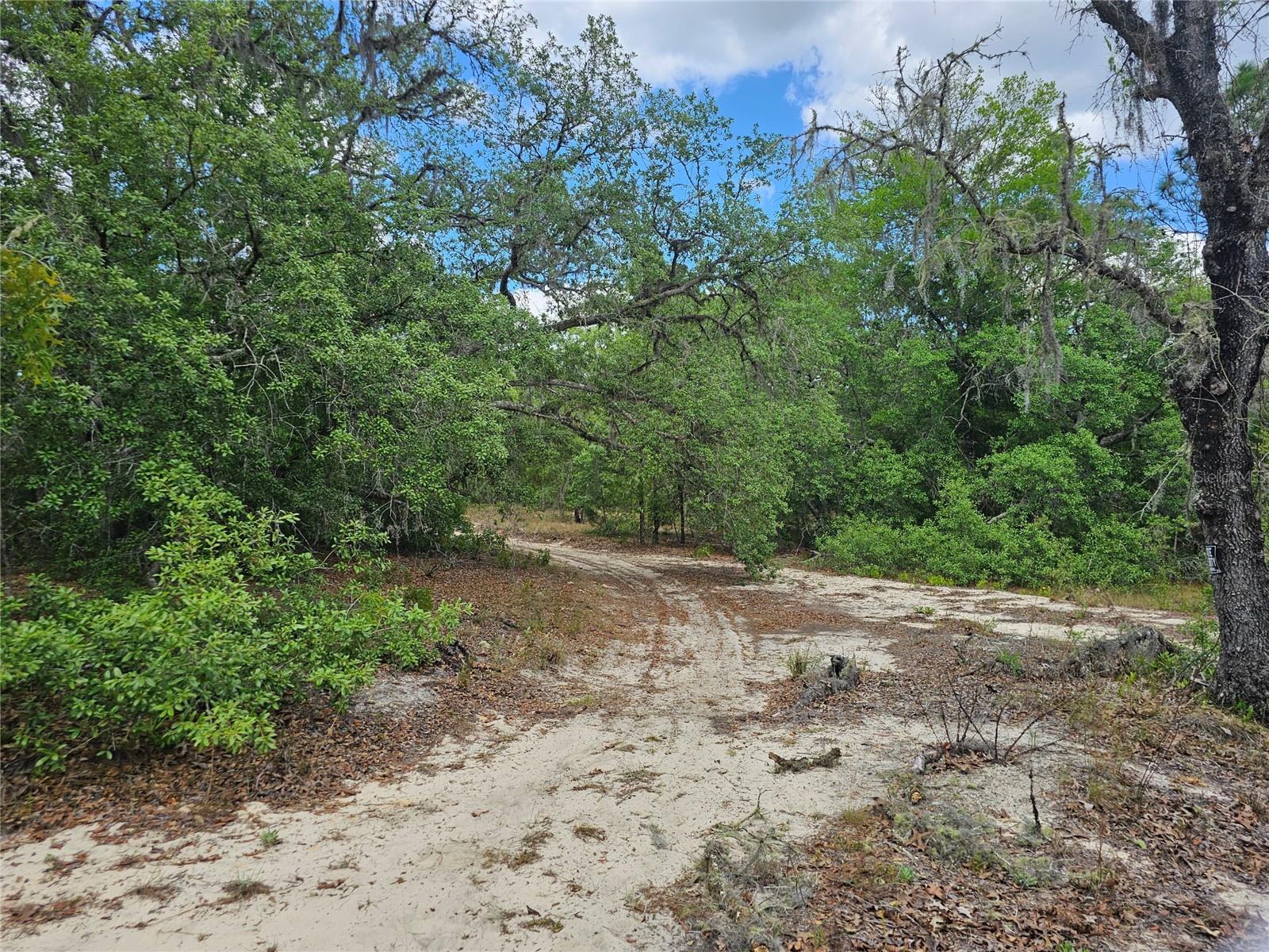 2950 W POMPANO LN, DUNNELLON, FL, 34433