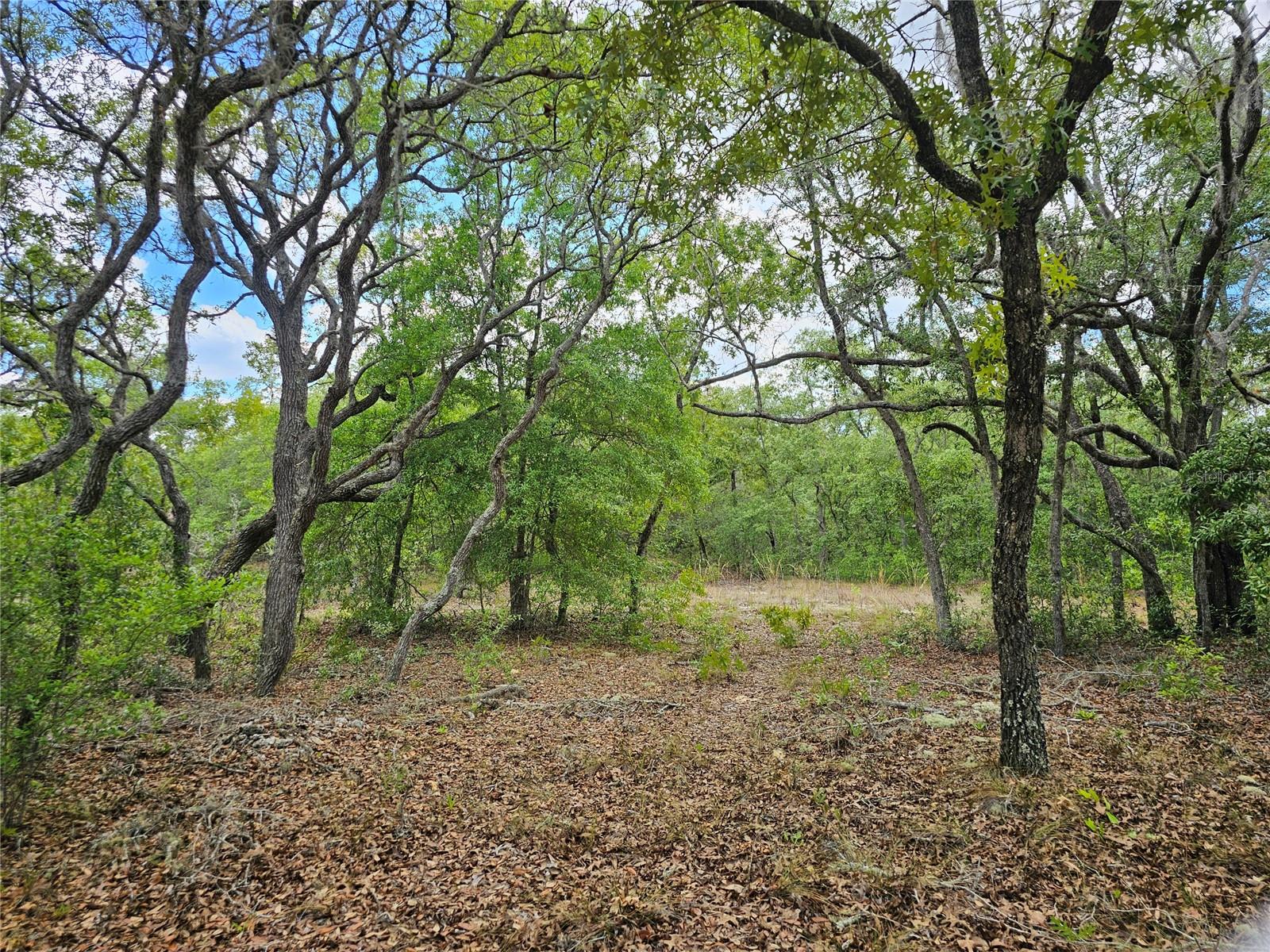 2950 W POMPANO LN, DUNNELLON, FL, 34433