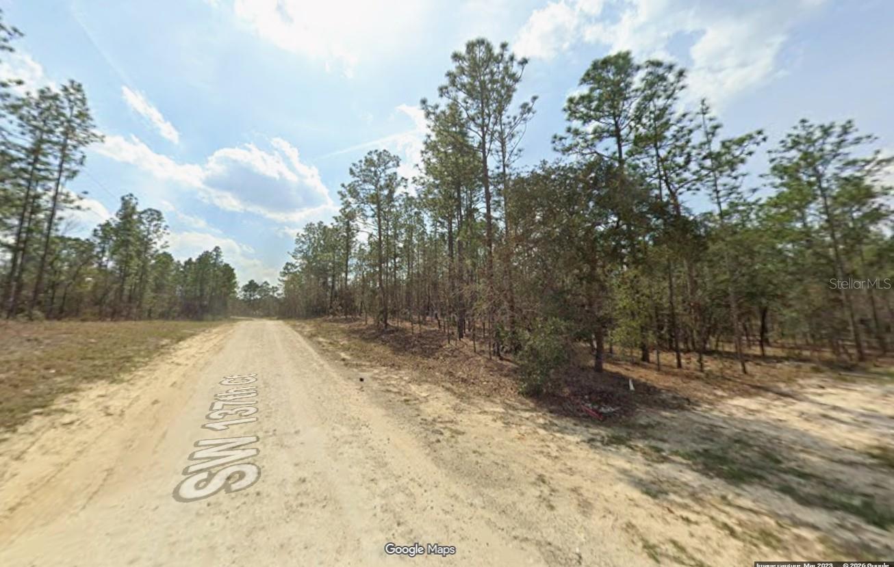 SW 137TH CT, OCALA, FL, 34481