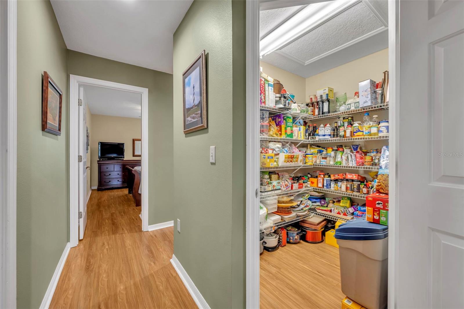 15241 SHADY LN, TAVARES, FL, 32778