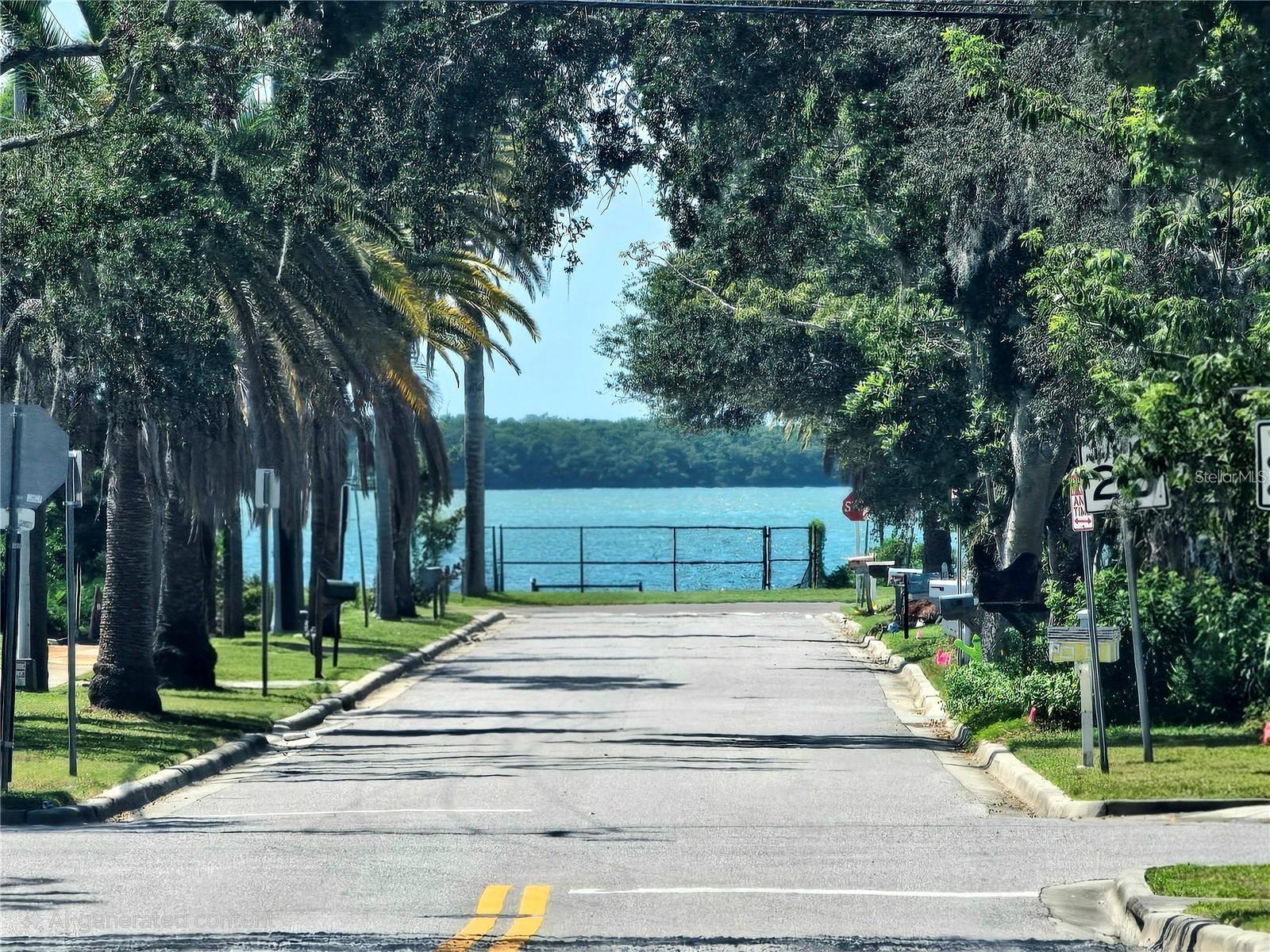 611 LYNDHURST ST, DUNEDIN, FL, 34698
