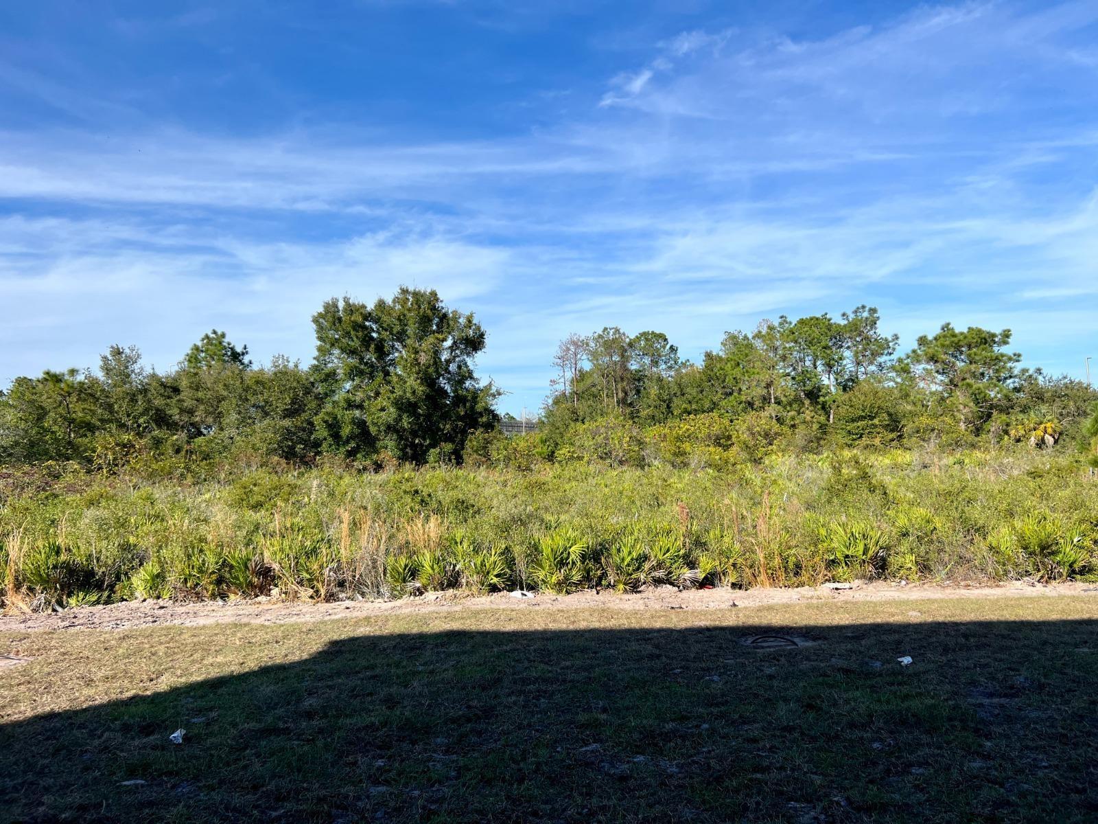 4501 BURROWING OWL LOOP, ST CLOUD, FL, 34772