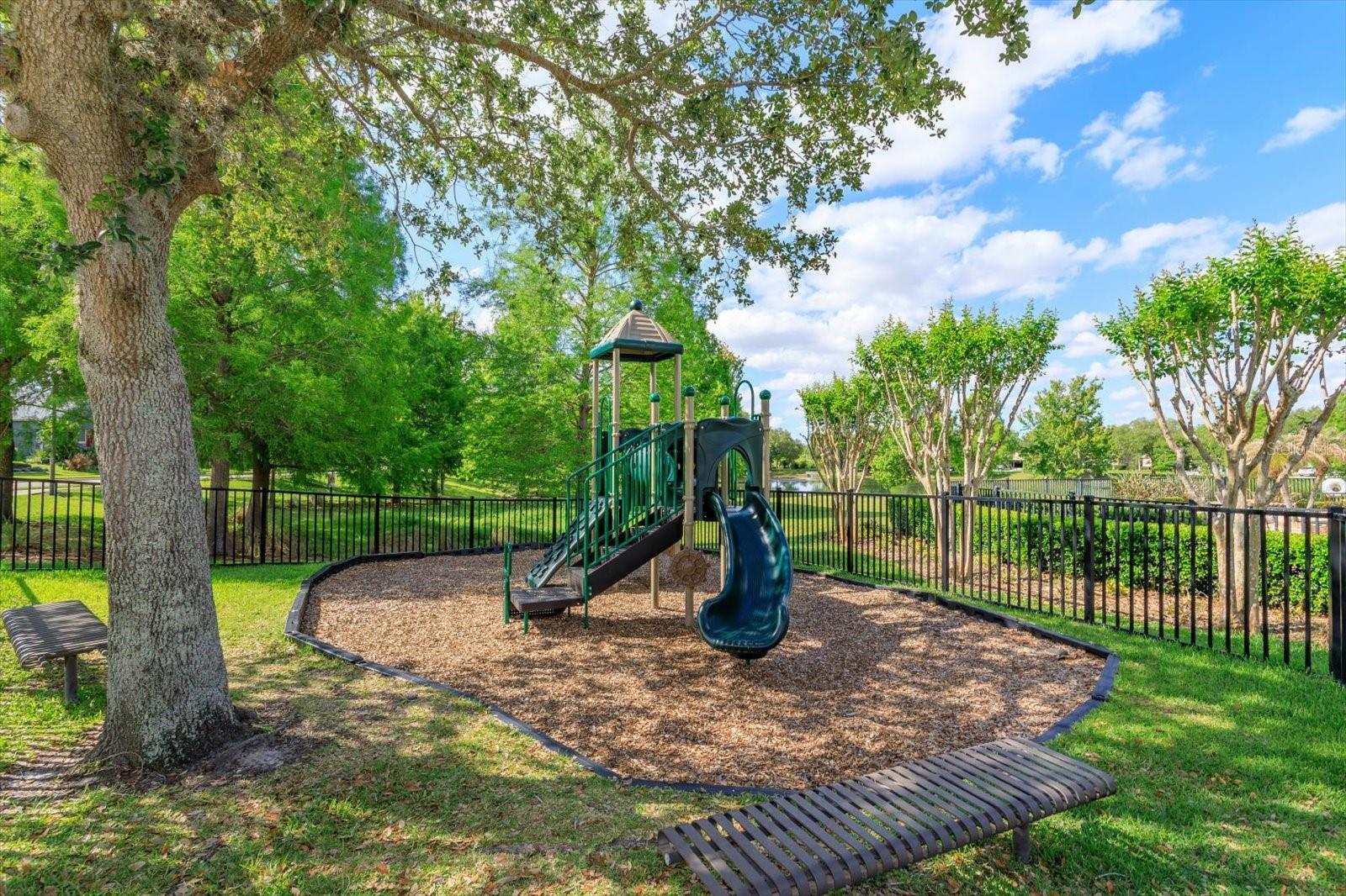 833 BENDING OAK TRL, WINTER GARDEN, FL, 34787