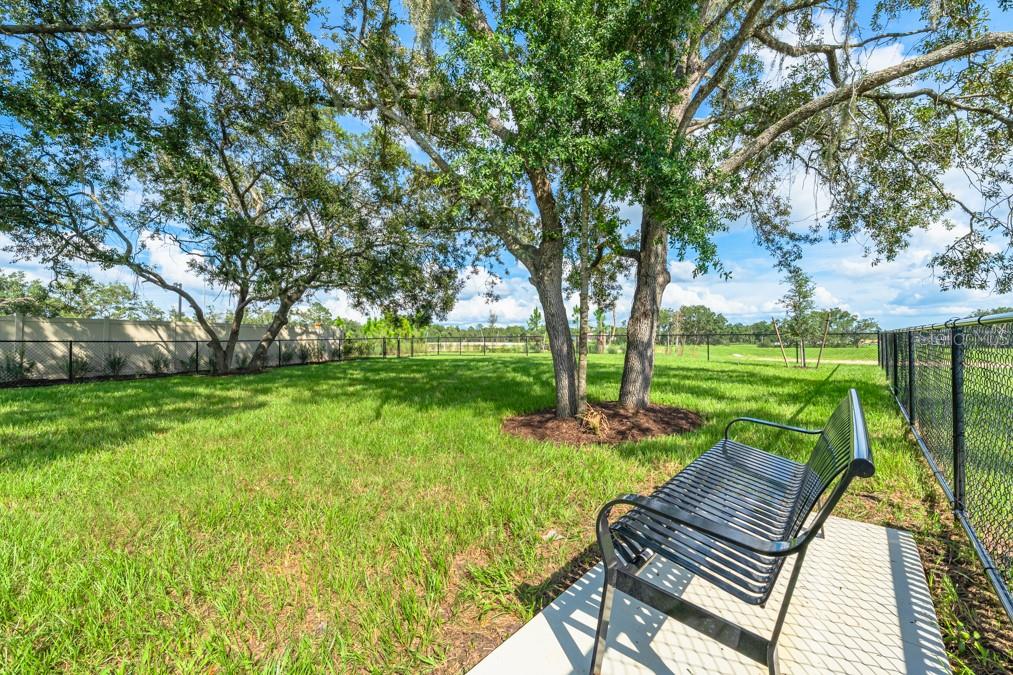13974 BLUSTERY CT, HUDSON, FL, 34669