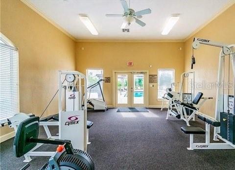 4333 BAYSIDE VILLAGE DR #120, TAMPA, FL, 33615