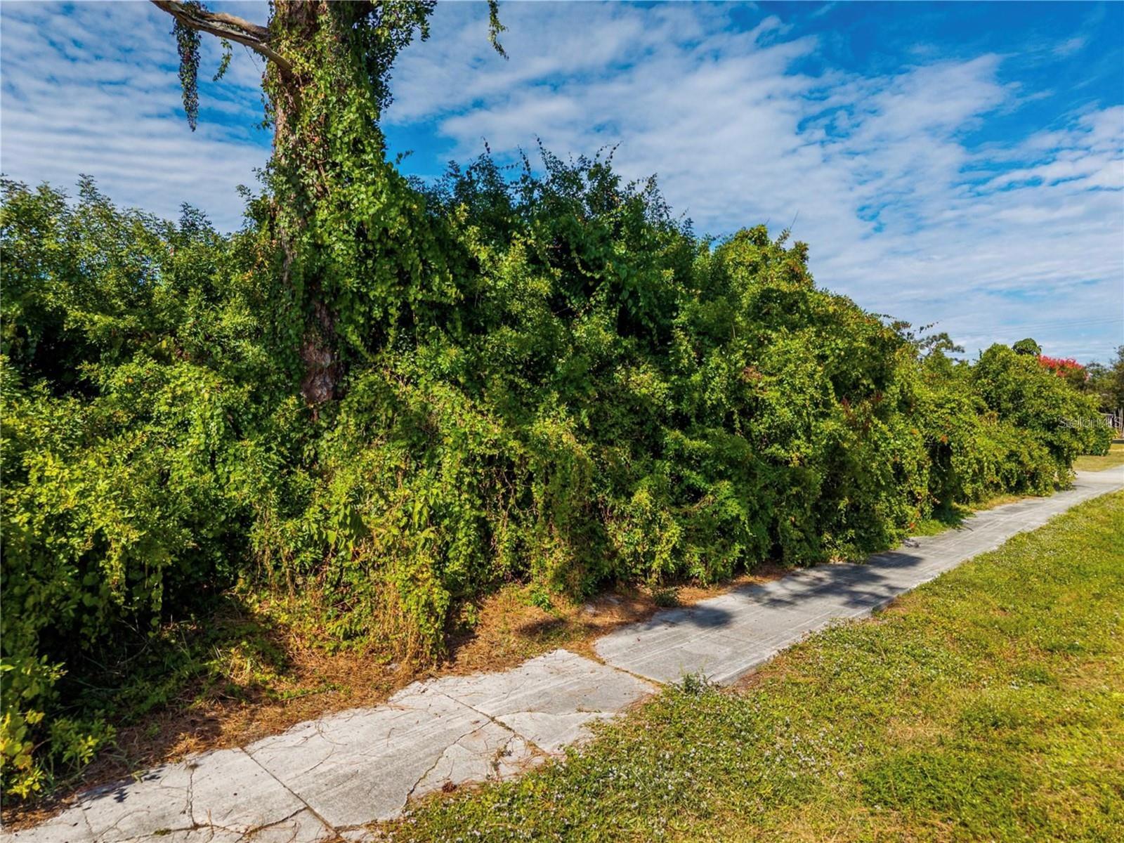 31 W SEMINOLE DR, VENICE, FL, 34293