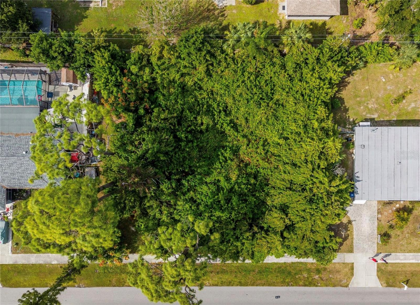 31 W SEMINOLE DR, VENICE, FL, 34293