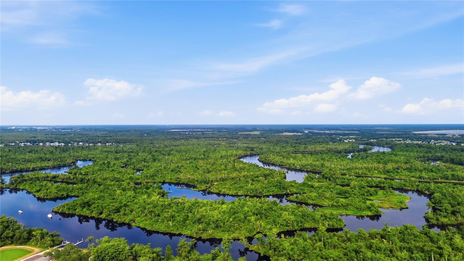10162 SW LETTUCE LAKE AVE, ARCADIA, FL, 34269