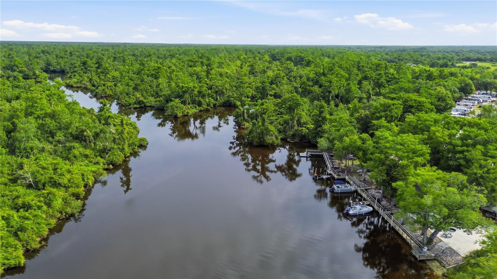 10162 SW LETTUCE LAKE AVE, ARCADIA, FL, 34269