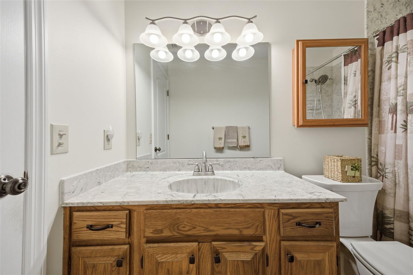 37407 TEABERRY LOOP, ZEPHYRHILLS, FL, 33542