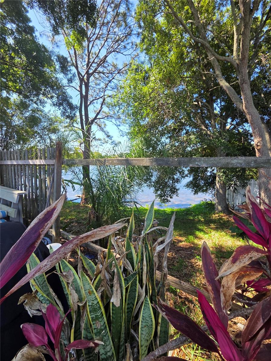 602 BAY LAKE TRL, OLDSMAR, FL, 34677
