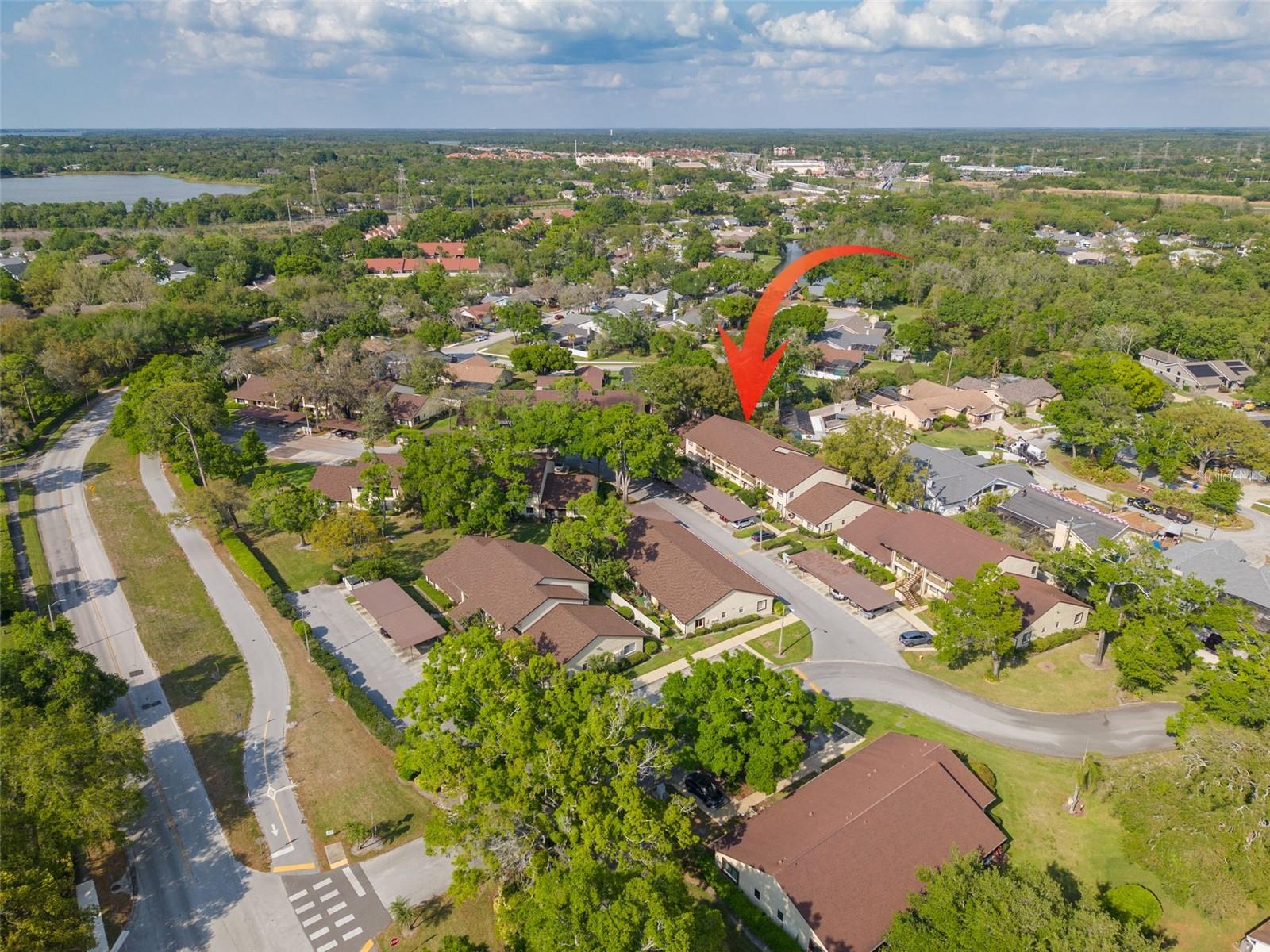 3590 MAGNOLIA RIDGE CIR #C-1103, PALM HARBOR, FL, 34684