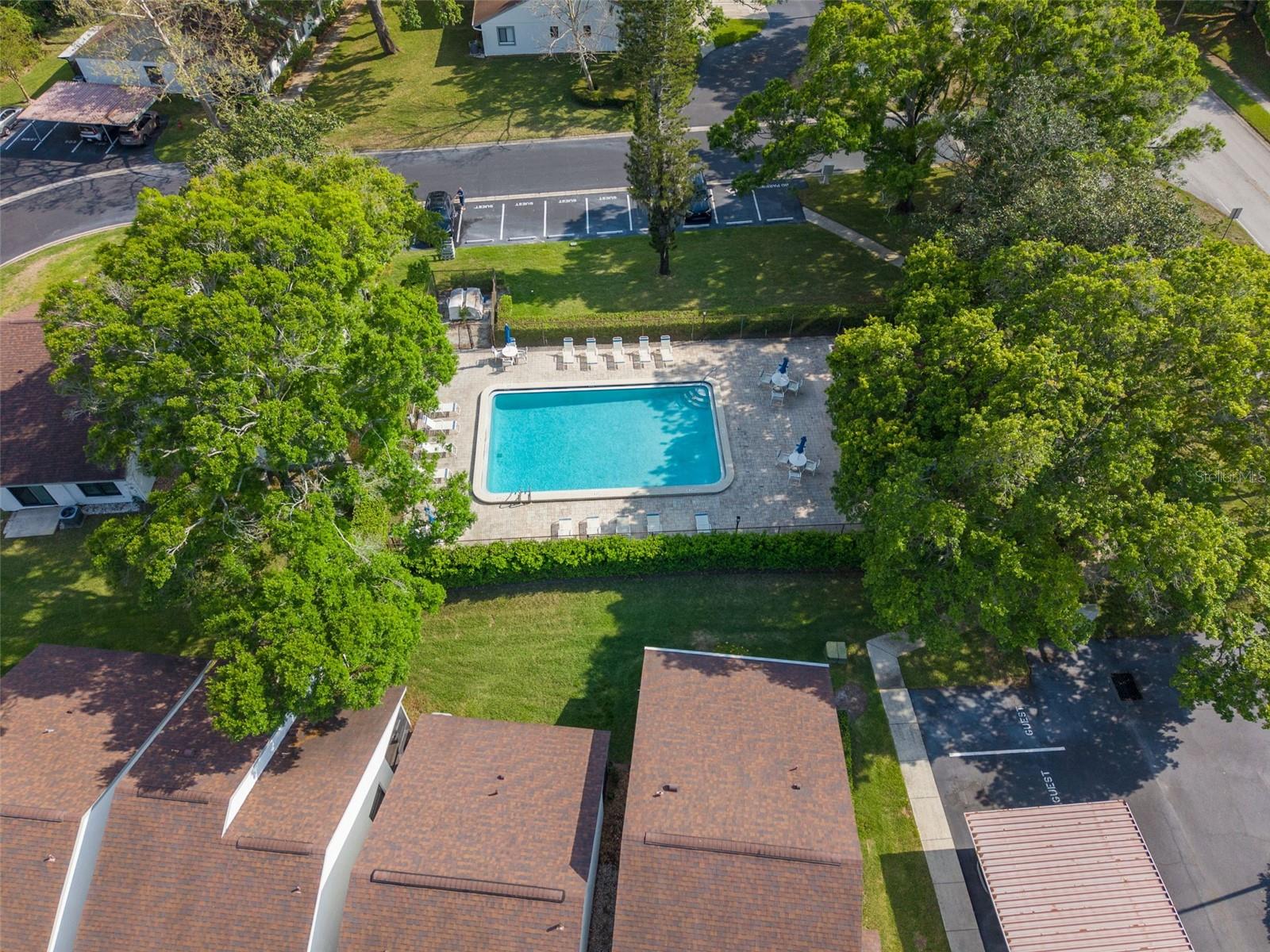 3590 MAGNOLIA RIDGE CIR #C-1103, PALM HARBOR, FL, 34684