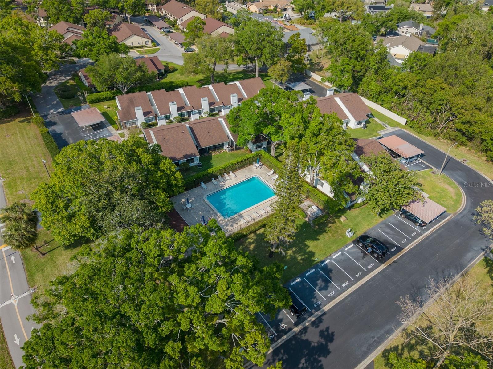 3590 MAGNOLIA RIDGE CIR #C-1103, PALM HARBOR, FL, 34684