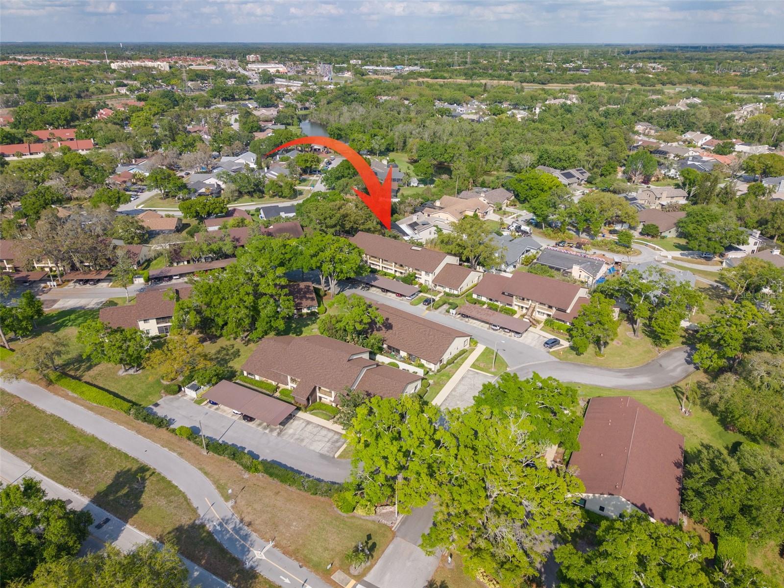 3590 MAGNOLIA RIDGE CIR #C-1103, PALM HARBOR, FL, 34684