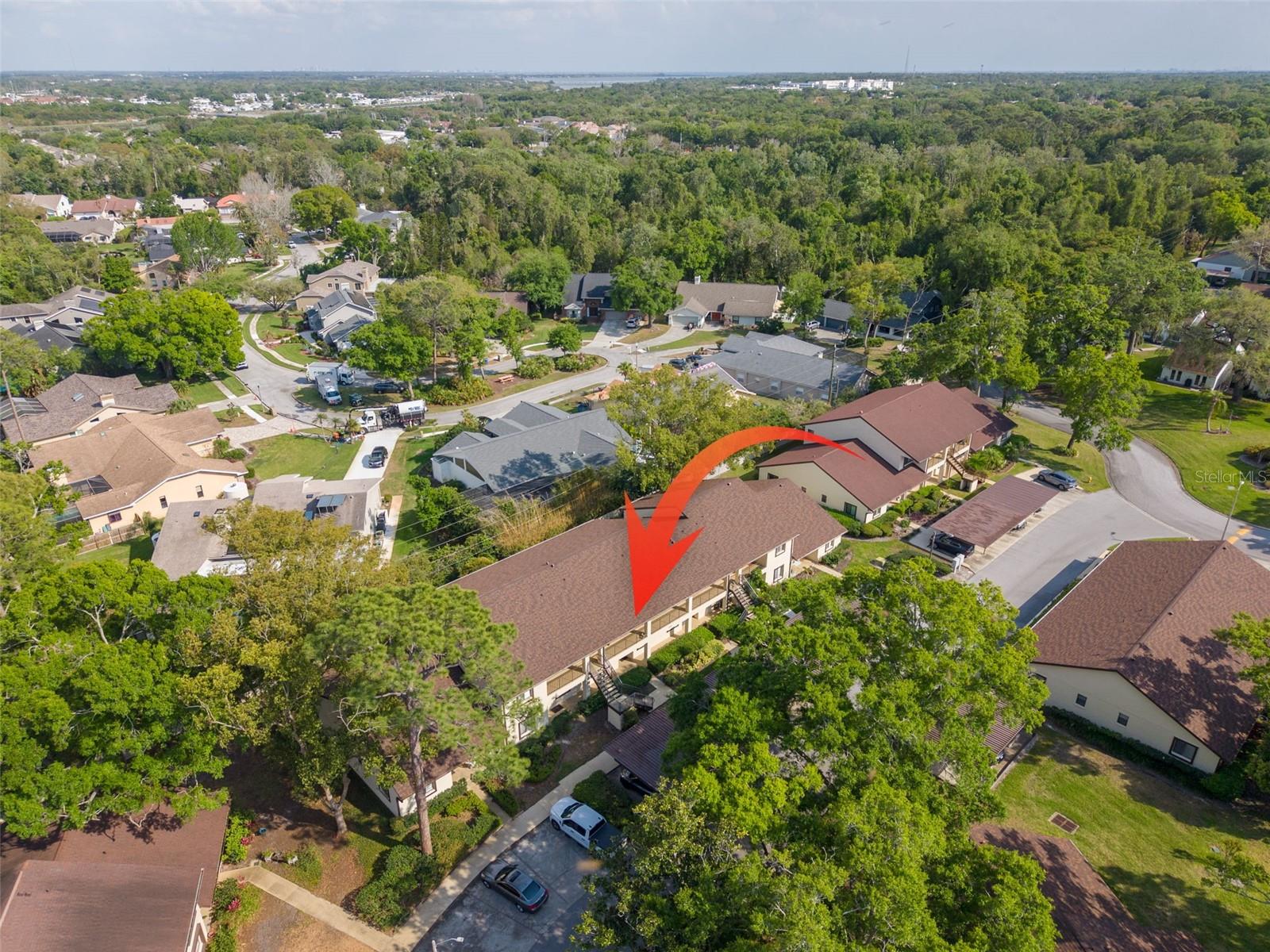 3590 MAGNOLIA RIDGE CIR #C-1103, PALM HARBOR, FL, 34684