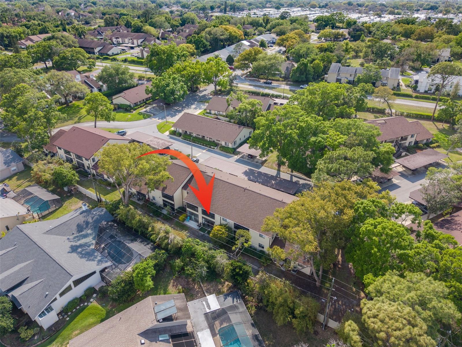 3590 MAGNOLIA RIDGE CIR #C-1103, PALM HARBOR, FL, 34684