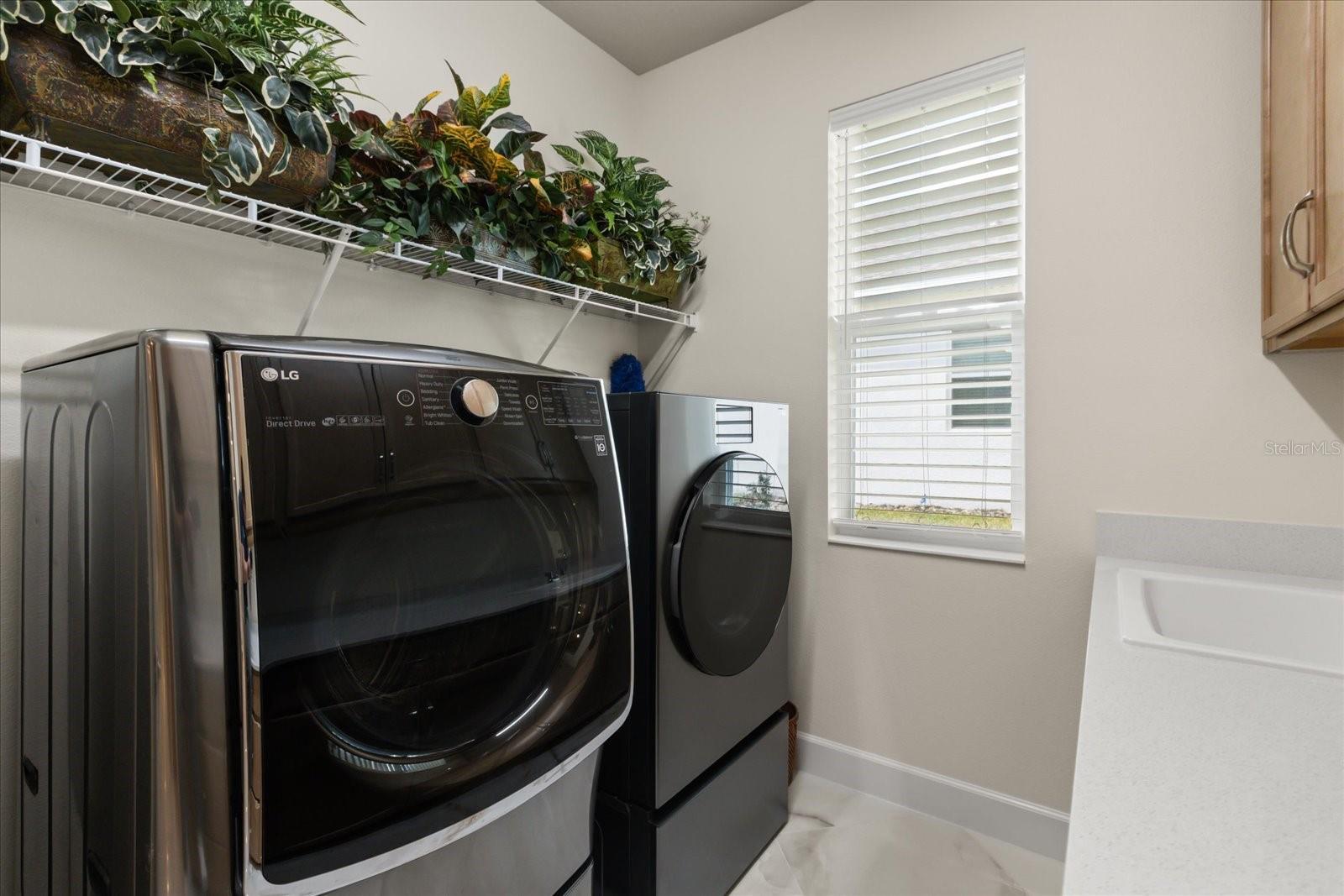 3284 ROSEVILLE DR, APOPKA, FL, 32712