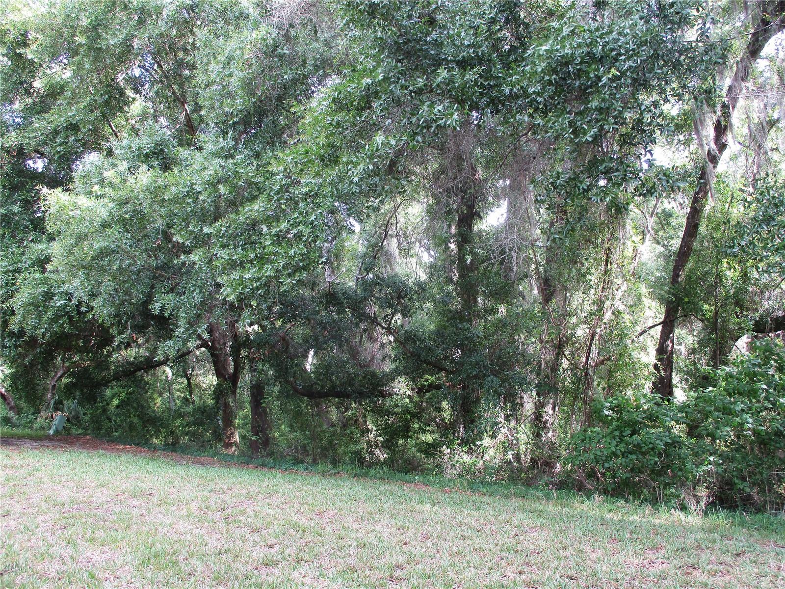 15024 SW 112TH CIR, DUNNELLON, FL, 34432