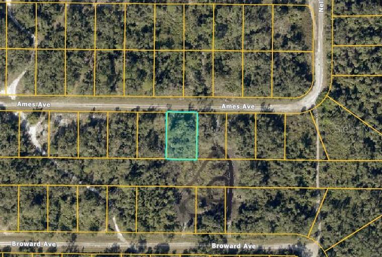 Lot #45 AMES AVE, NORTH PORT, FL, 34291
