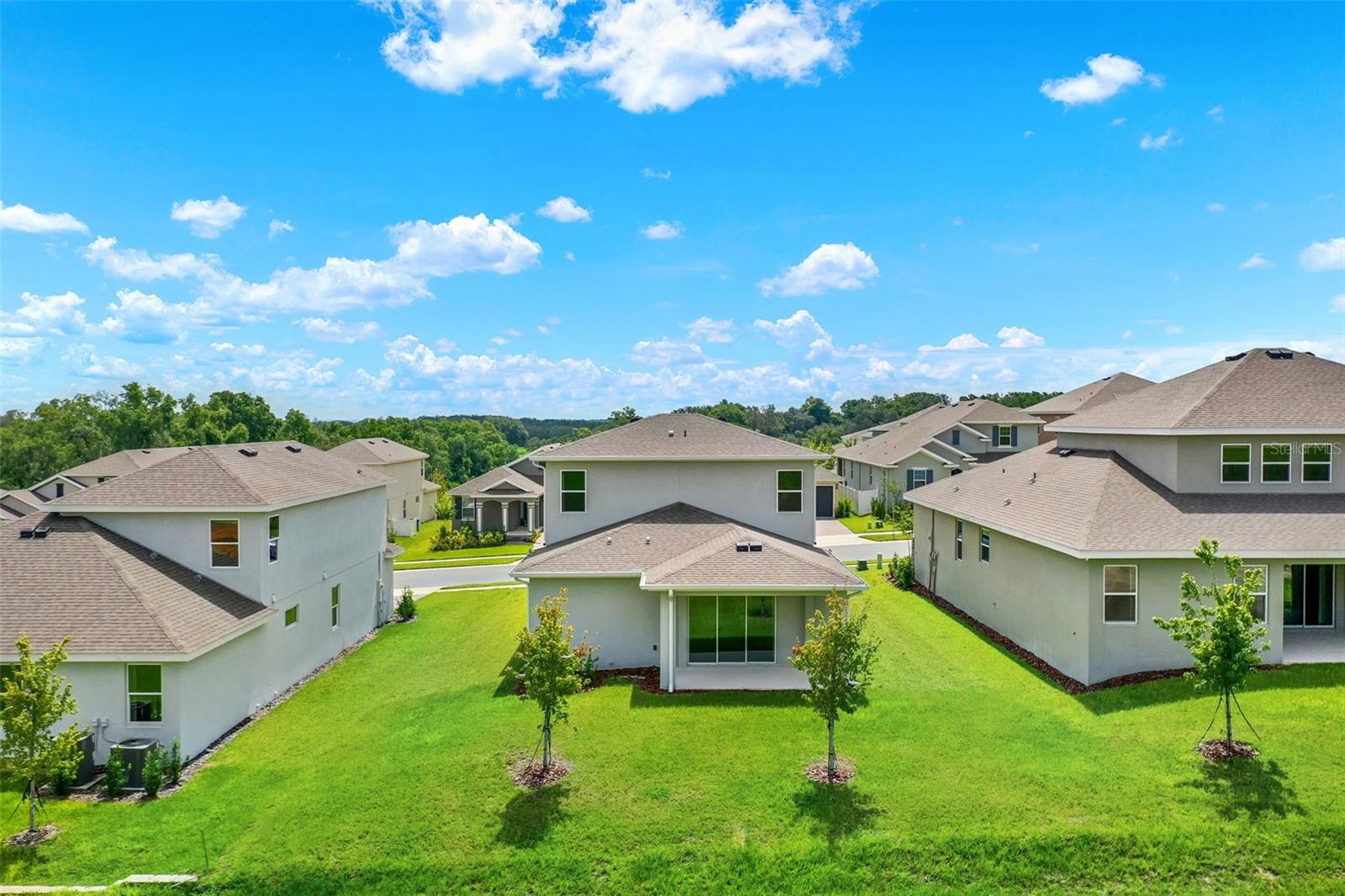 2063 KEYSTONE PASS BLVD, MINNEOLA, FL, 34715