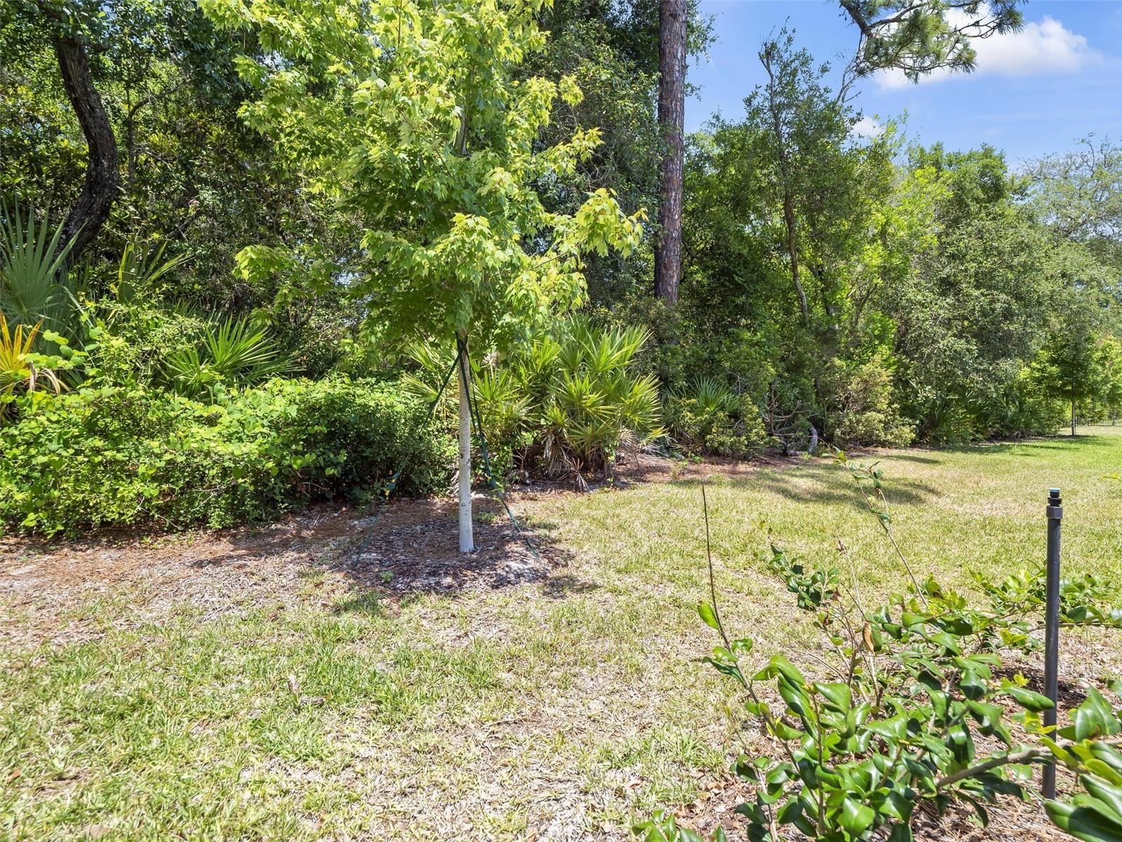 73 MOANA CT, PALM COAST, FL, 32137