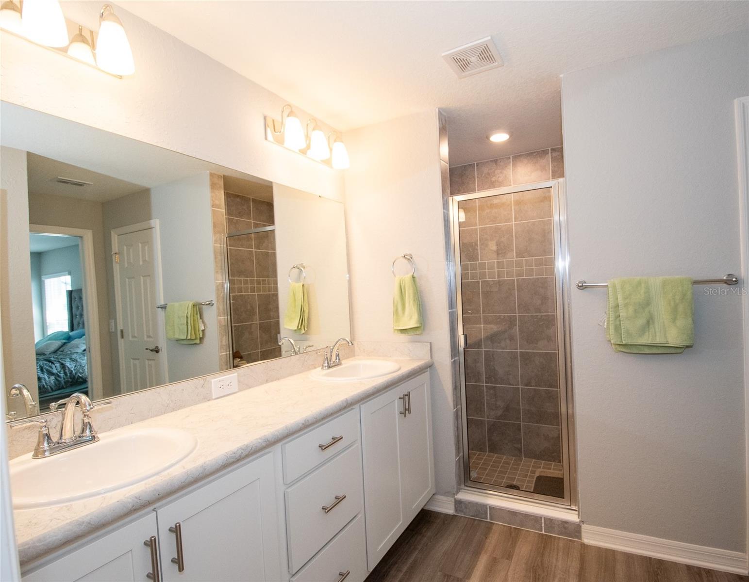 12239 CYPRESS BRANCH ST, RIVERVIEW, FL, 33579