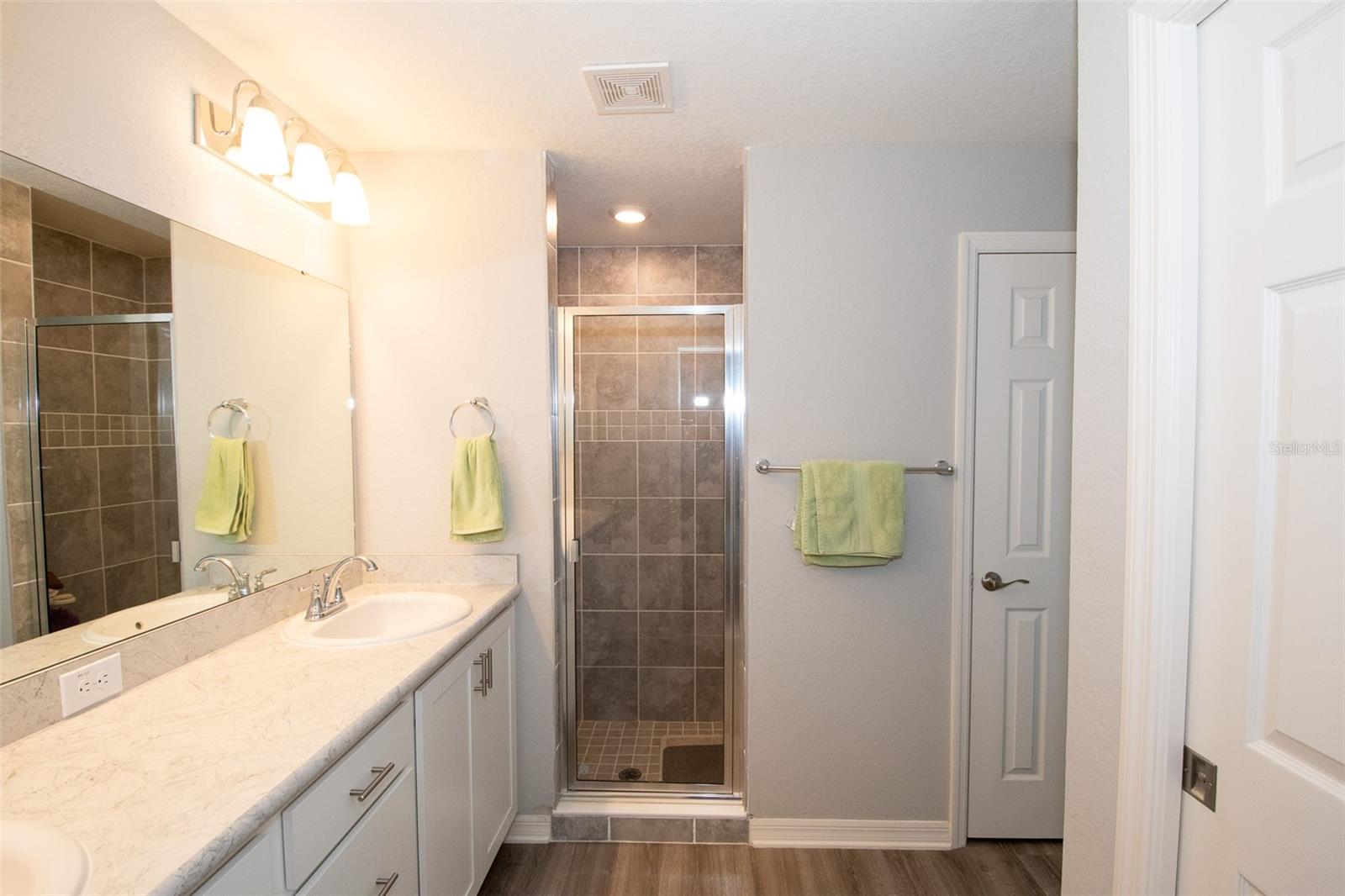 12239 CYPRESS BRANCH ST, RIVERVIEW, FL, 33579