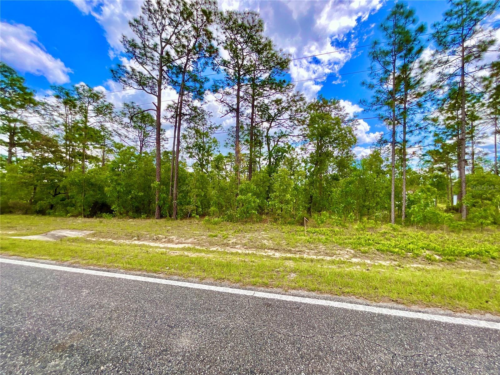 MELROSE LANDING BLVD, HAWTHORNE, FL, 32640
