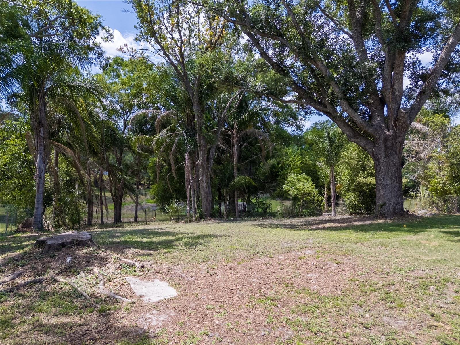 1615 DAWNRIDGE CT, BRANDON, FL, 33510