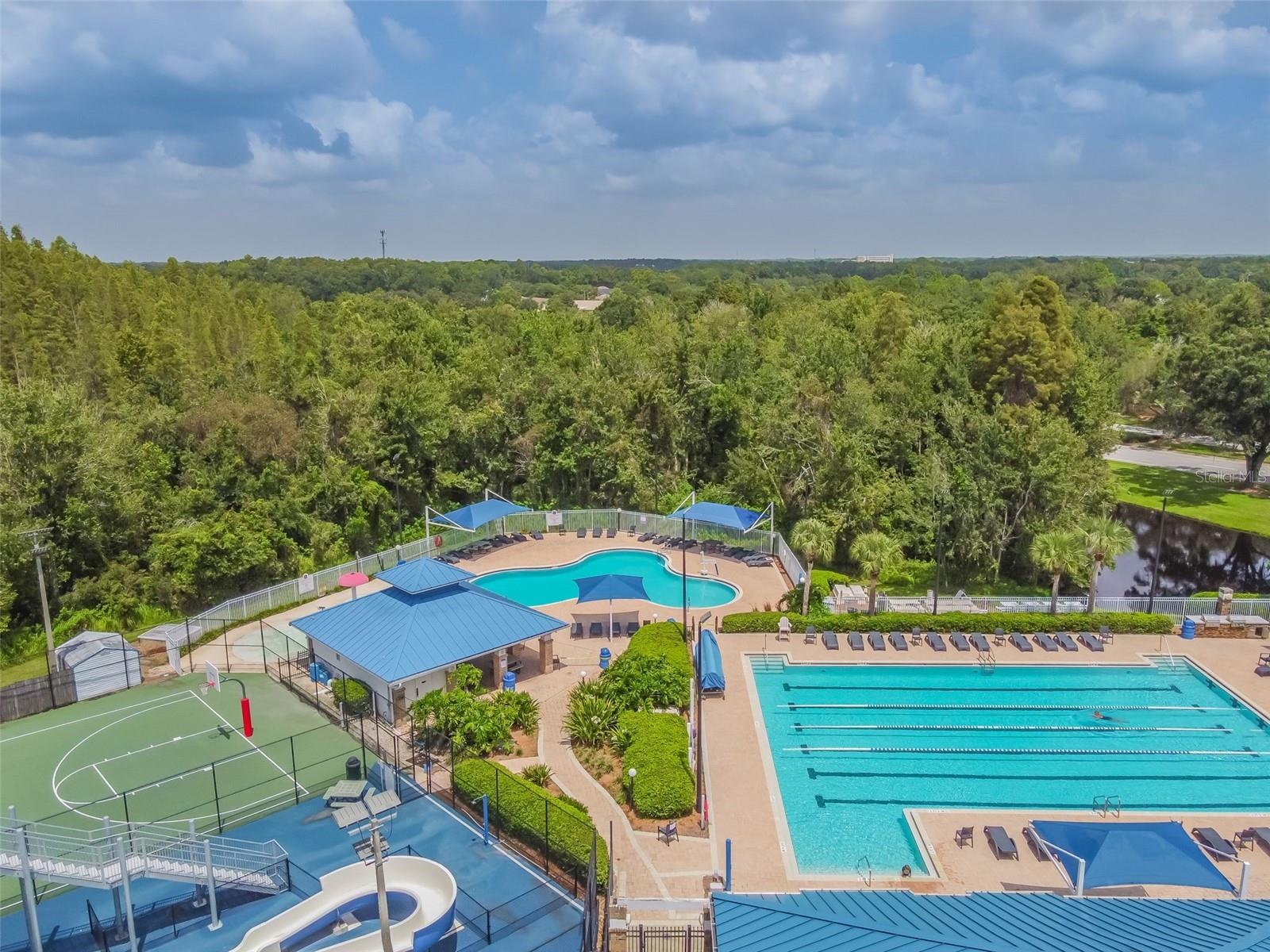 1223 TIMBER TRACE DR, WESLEY CHAPEL, FL, 33543