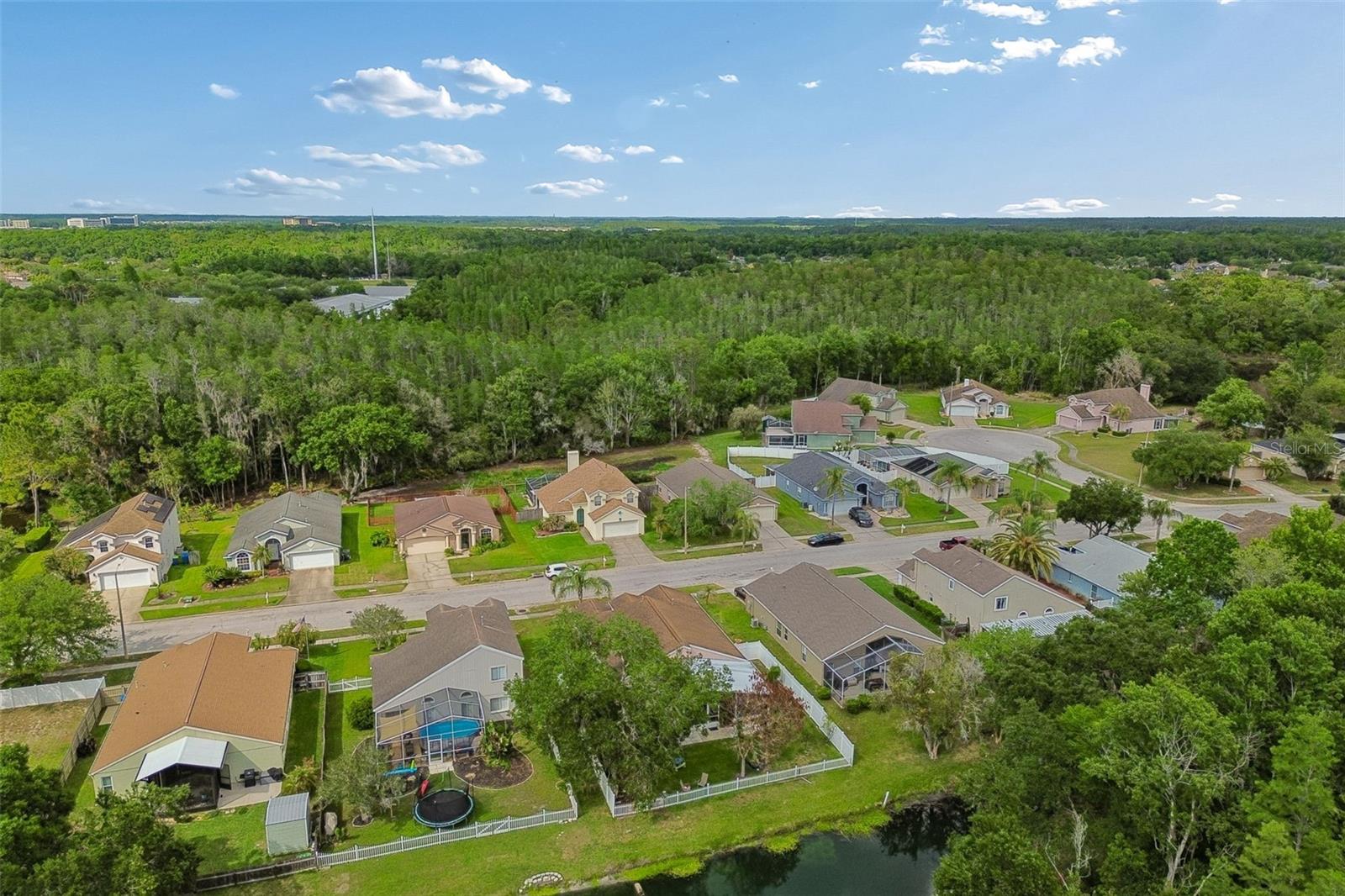 1223 TIMBER TRACE DR, WESLEY CHAPEL, FL, 33543