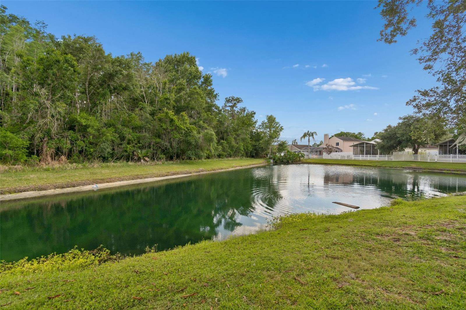 1223 TIMBER TRACE DR, WESLEY CHAPEL, FL, 33543