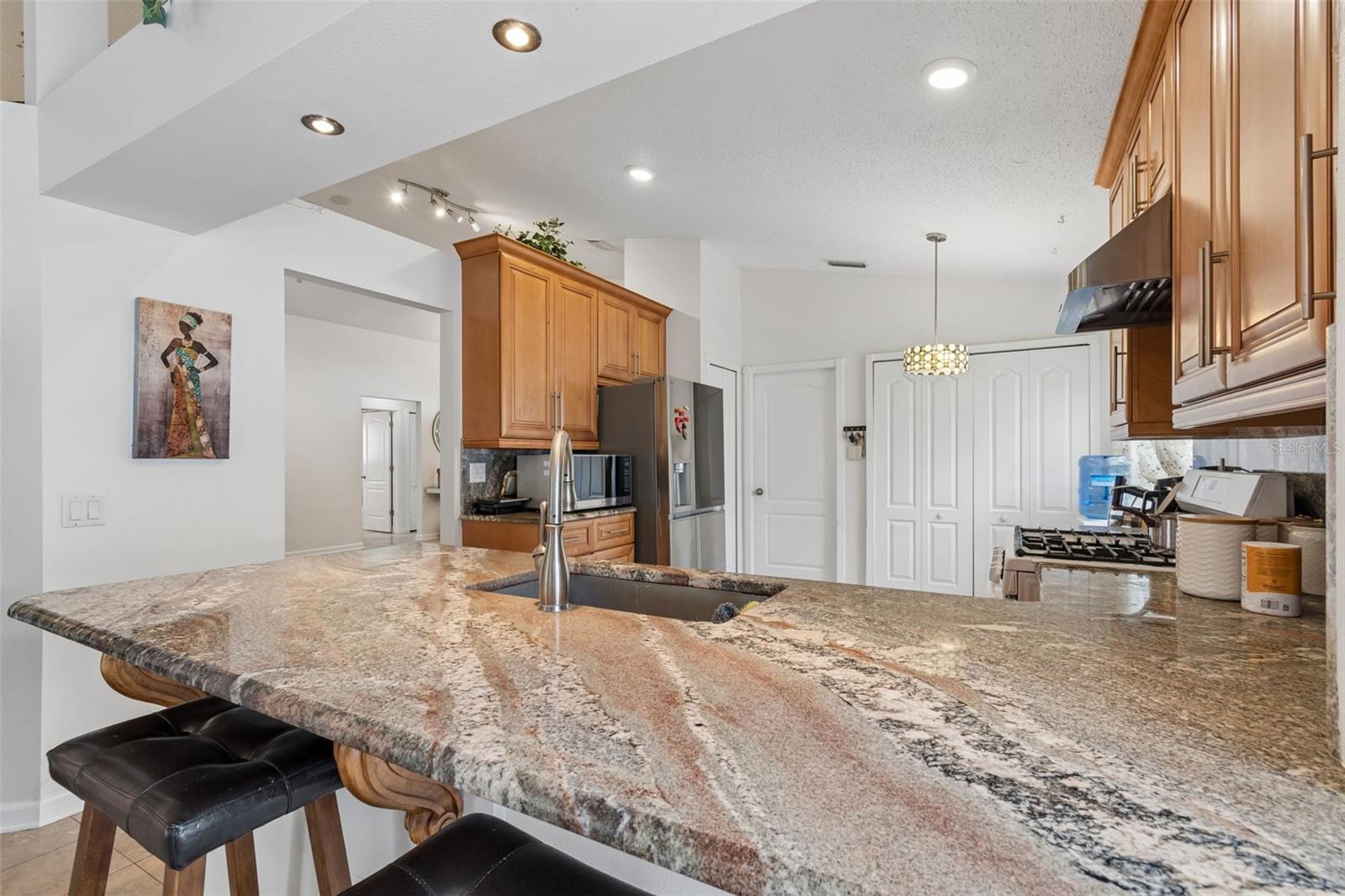 1223 TIMBER TRACE DR, WESLEY CHAPEL, FL, 33543