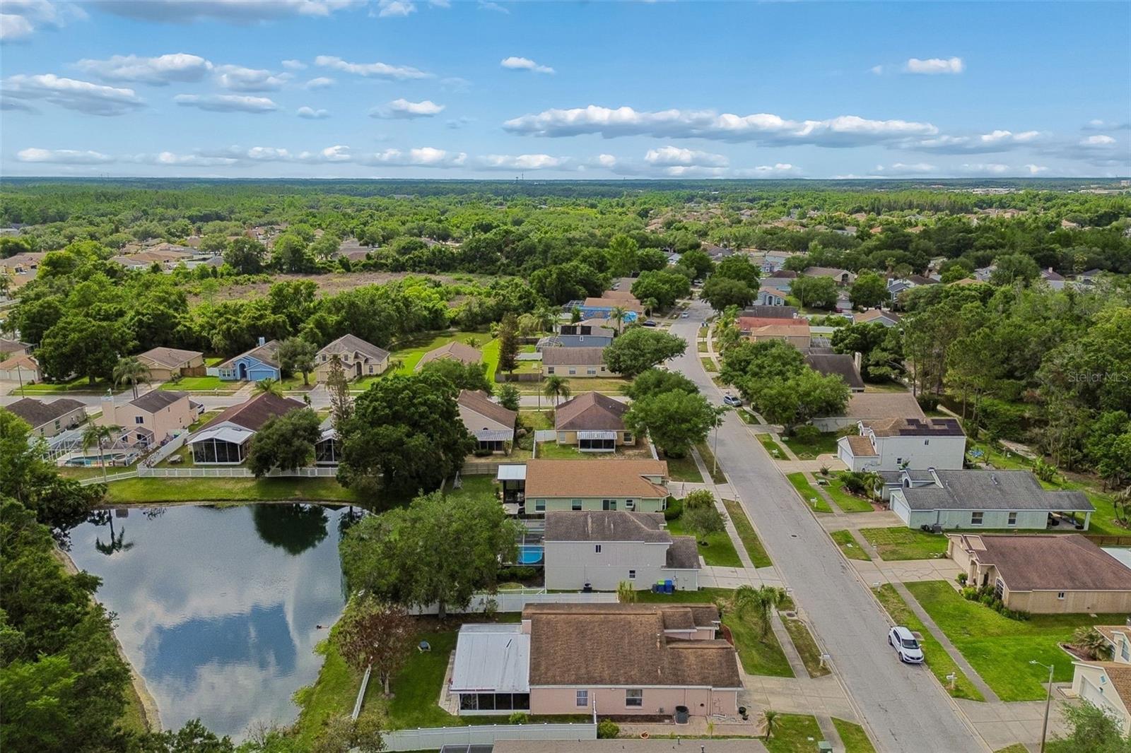 1223 TIMBER TRACE DR, WESLEY CHAPEL, FL, 33543