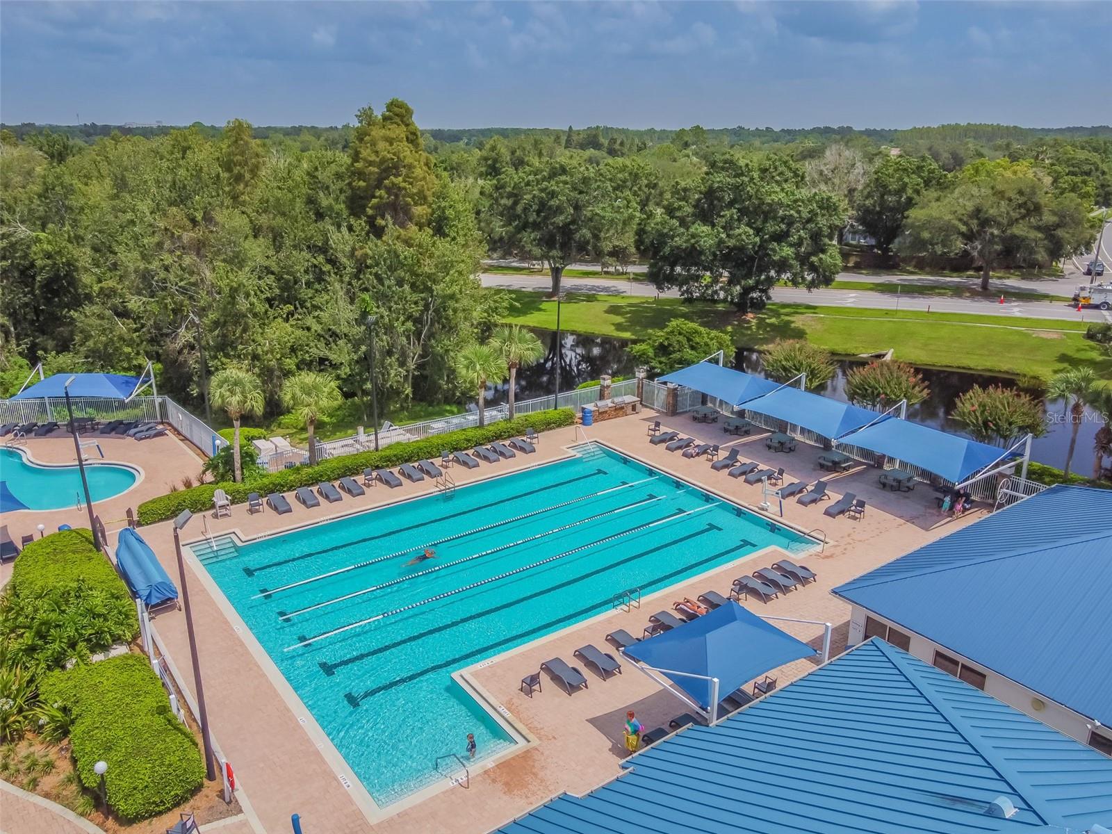 1223 TIMBER TRACE DR, WESLEY CHAPEL, FL, 33543