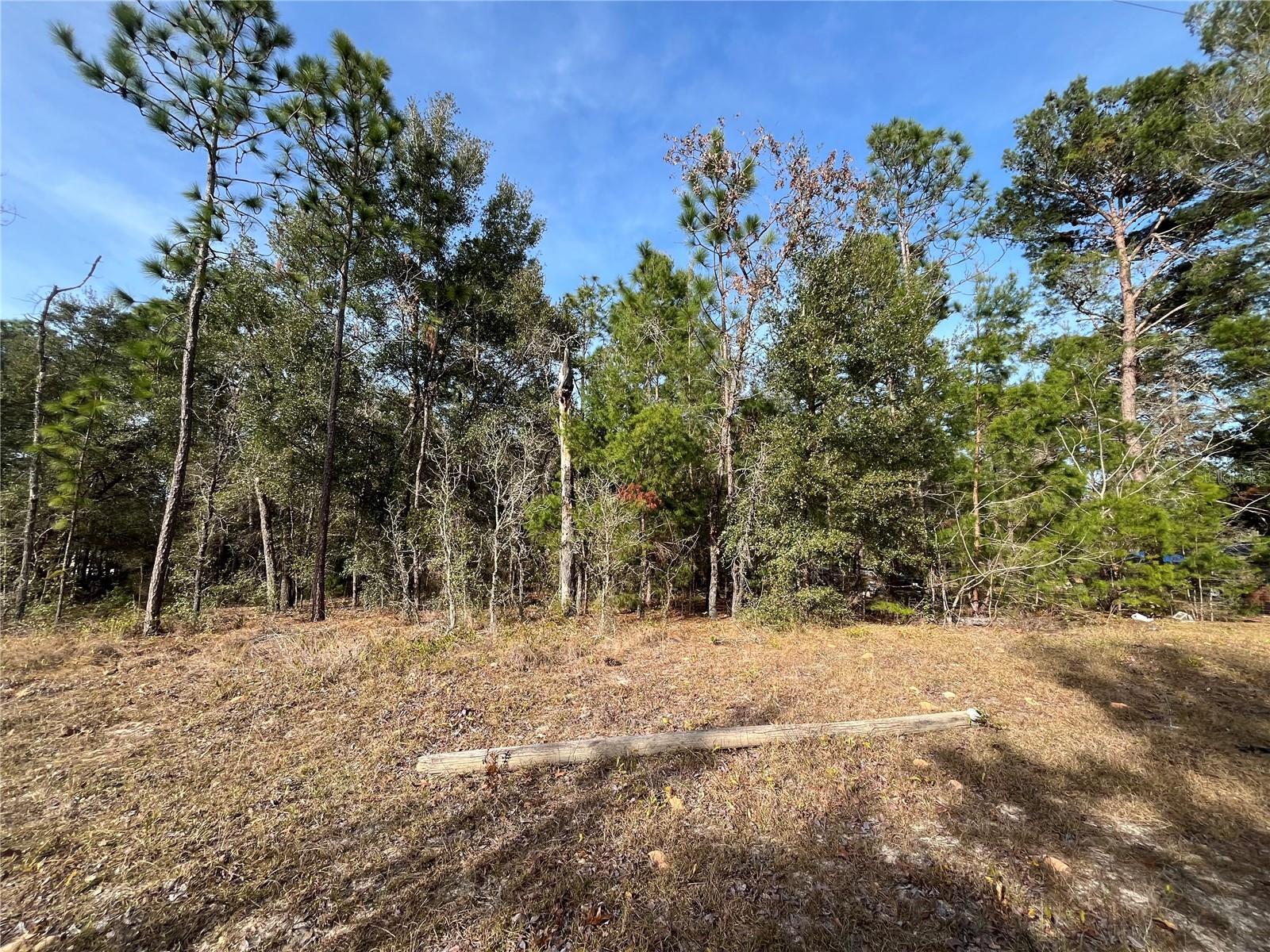 6168 EMORY AVE, KEYSTONE HEIGHTS, FL, 32656