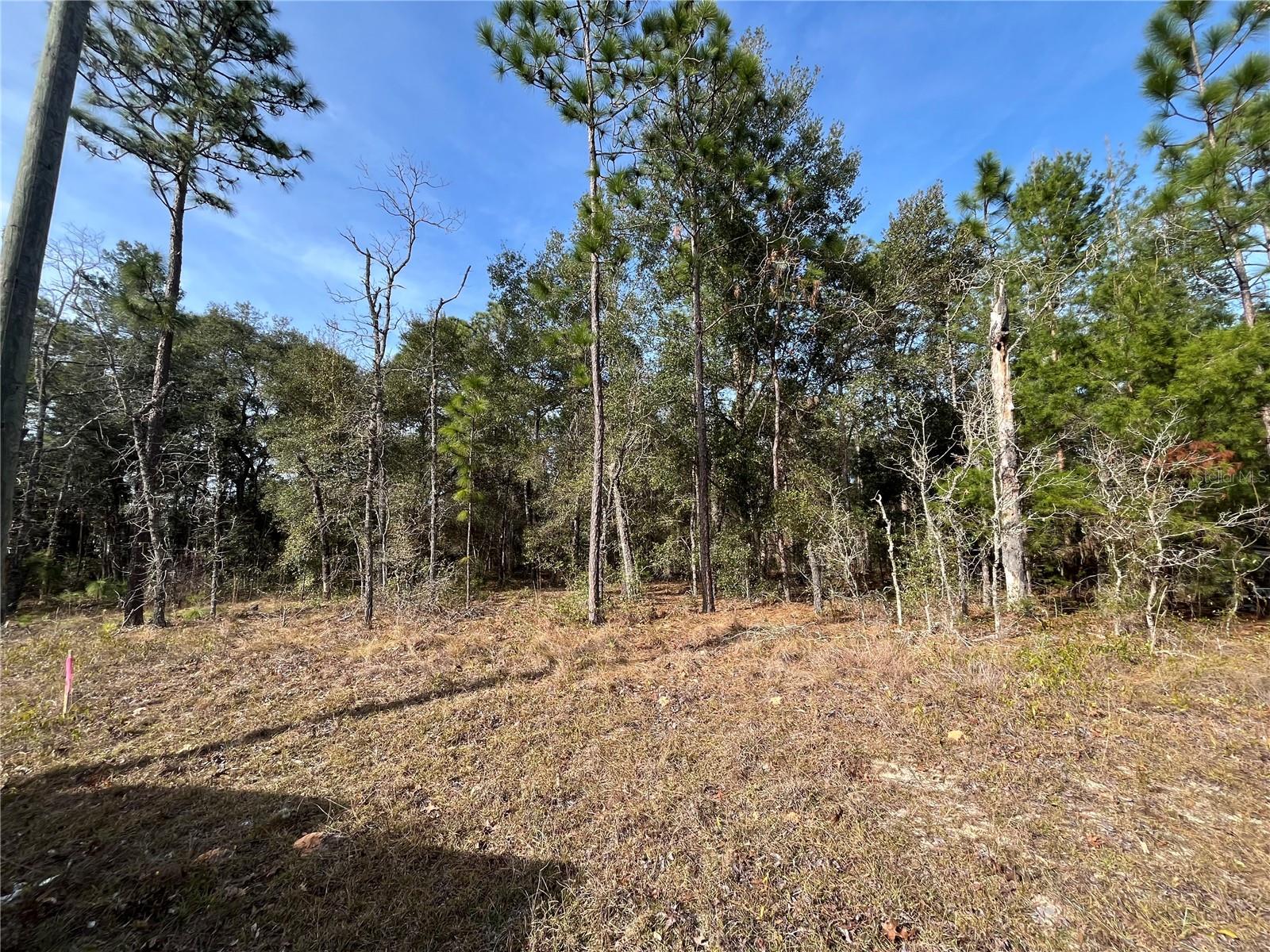6168 EMORY AVE, KEYSTONE HEIGHTS, FL, 32656
