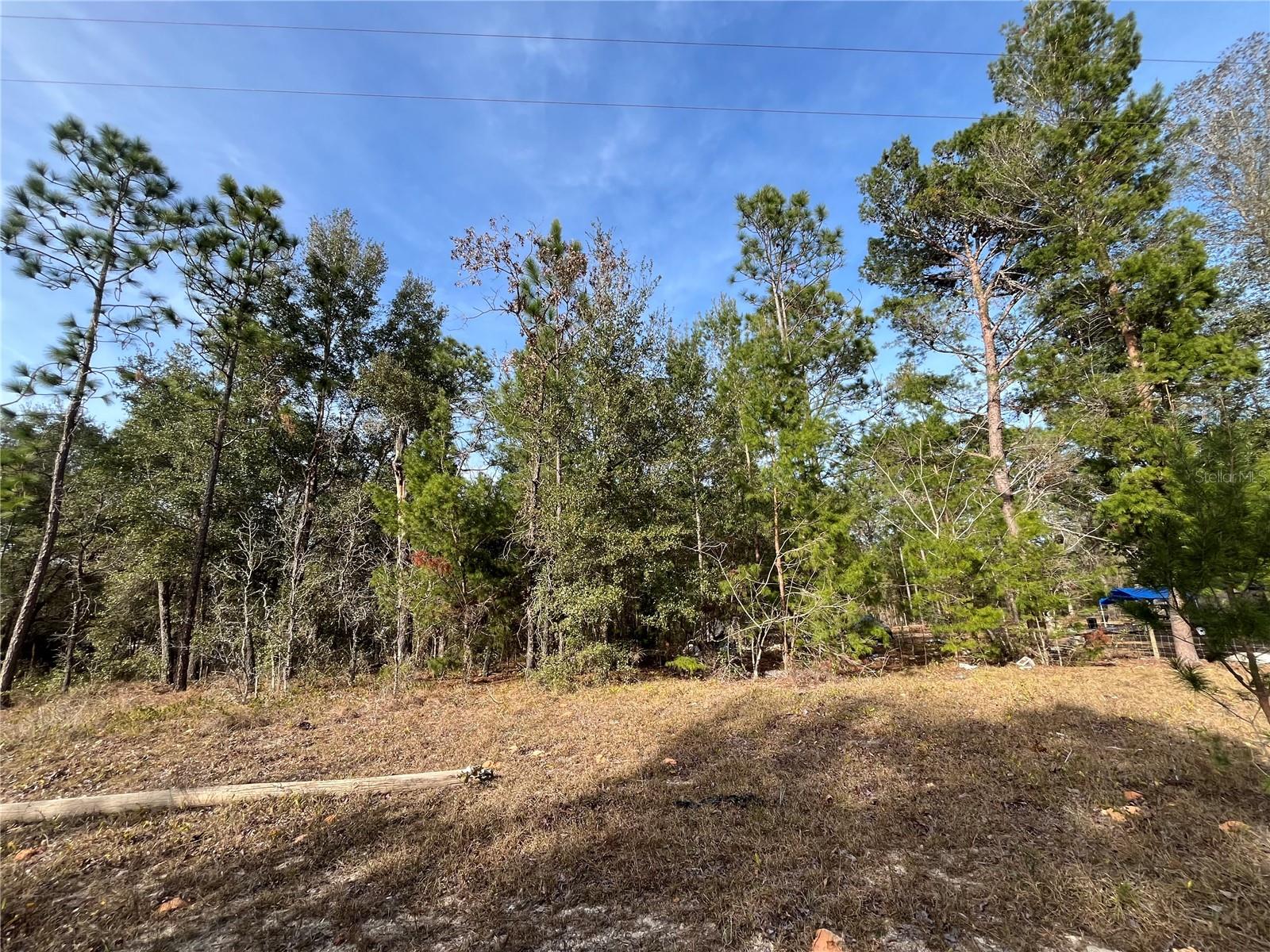6168 EMORY AVE, KEYSTONE HEIGHTS, FL, 32656
