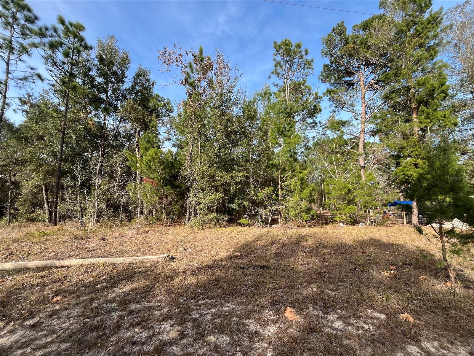 6168 EMORY AVE, KEYSTONE HEIGHTS, FL, 32656