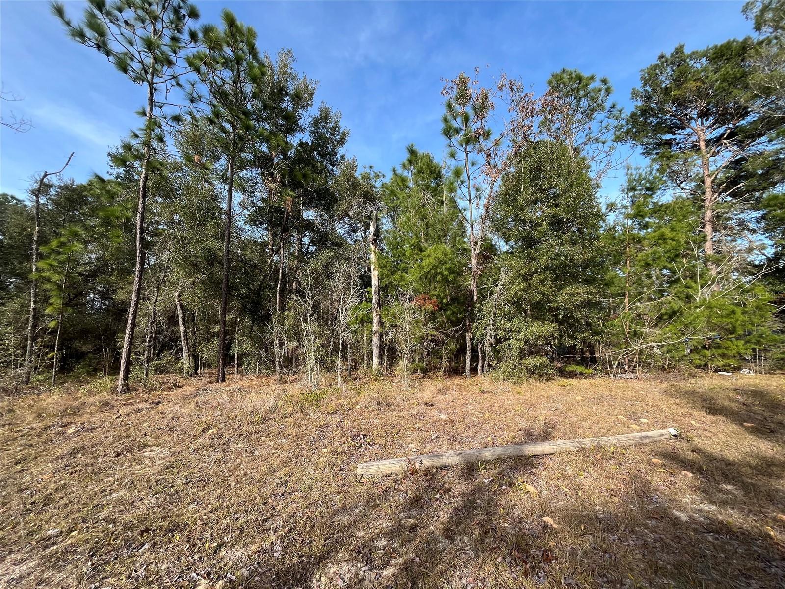 6168 EMORY AVE, KEYSTONE HEIGHTS, FL, 32656